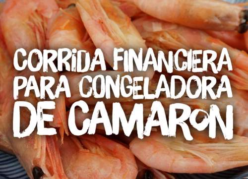Corrida Financiera para Congeladora de Camarón
