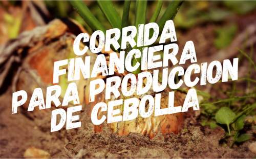 Corrida Financiera para Produccion de Cebolla