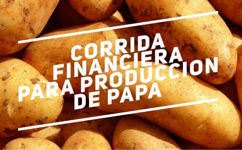 Corrida Financiera para Produccion de Papa