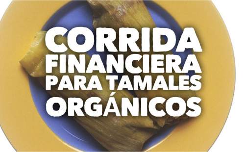Corrida Financiera para Tamales Organicos