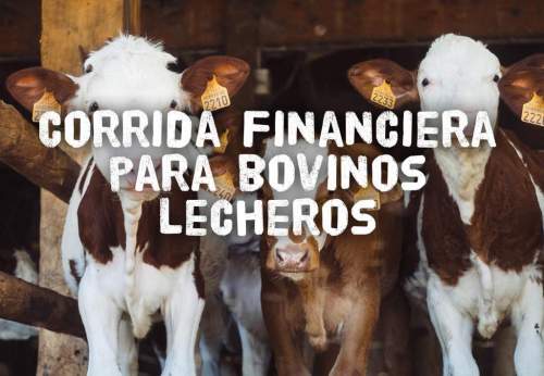 Corrida Financiera para Proyecto Bovinos Lecheros