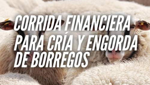 Corrida Financiera para Engorda De Borregos
