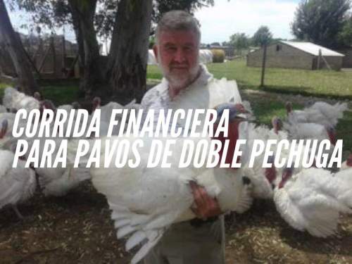 Corrida Financiera para Pavos Doble Pechuga