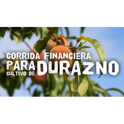 Corrida Financiera para Cultivo de Durazno