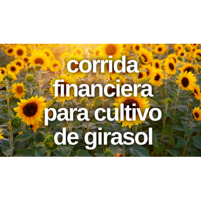 Corrida Financiera para Cultivo de Girasol