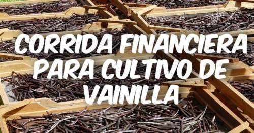 Corrida Financiera para Cultivo de Vainilla