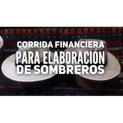 Corrida Financiera para Elaboracion de Sombreros