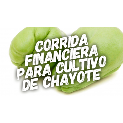 Corrida Financiera para Cultivo de Chayote
