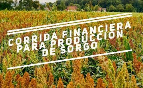 Corrida Financiera para Producción de Sorgo