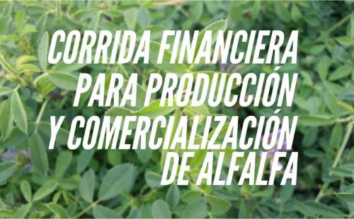 Corrida Financiera para Produccion y Comercializacion de Alfalfa