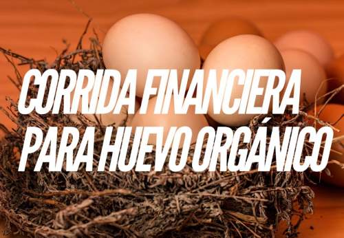 Corrida Financiera para Huevo Orgánico