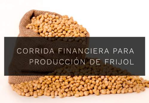 Corrida Financiera para Proyecto de Producción de Frijol