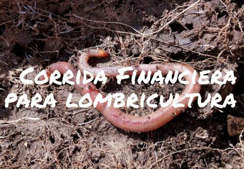 Corrida Financiera para Proyecto de Lombricultura