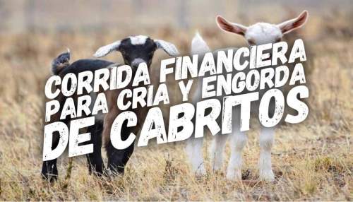 Corrida Financiera para Cría y Venta De Cabritos