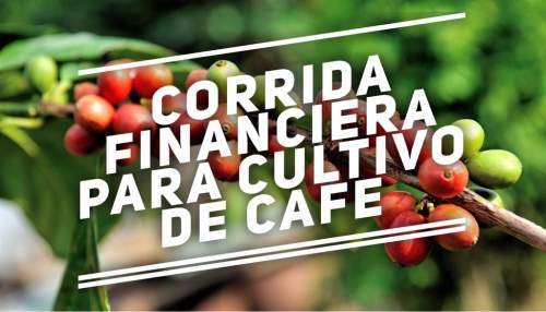 Corrida Financiera para Cultivo de Cafe