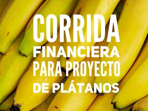 Corrida Financiera para Cultivo de Plátano