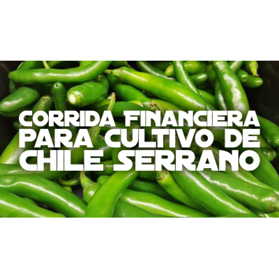 Corrida Financiera para Cultivo de Chile Serrano