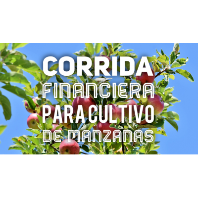 Corrida Financiera para Cultivo de Manzana