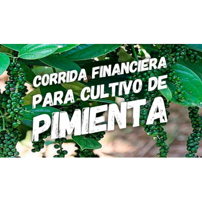 Corrida Financiera para Cultivo de Pimienta