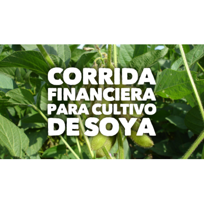 Corrida Financiera para Cultivo de Soya