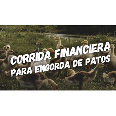 Corrida Financiera para Engorda de Patos