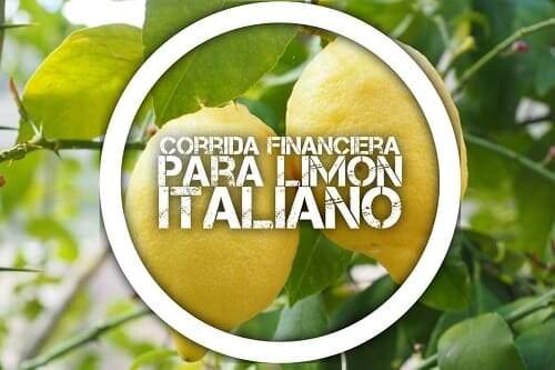 Corrida Financiera para Limón Italiano