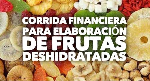Corrida Financiera para Elaboración de Frutas Deshidratadas