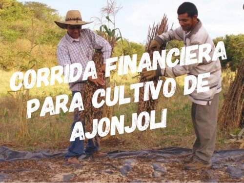 Corrida Financiera para Cultivo y Acopio de Ajonjoli