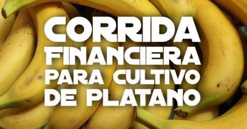 Corrida Financiera para Cultivo de Plátano