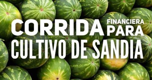 Corrida Financiera para Cultivo de Sandia